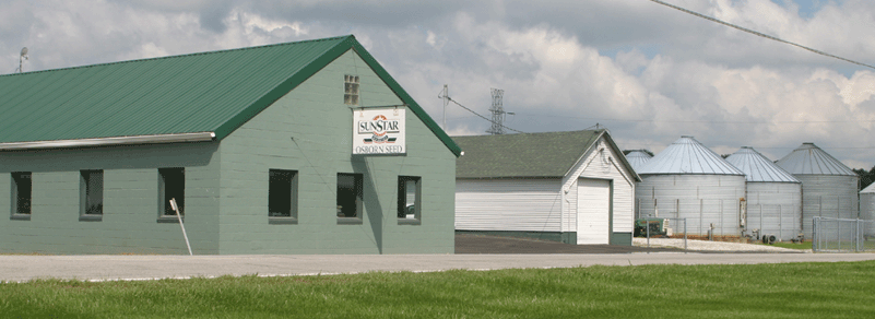 sunstar graphic image