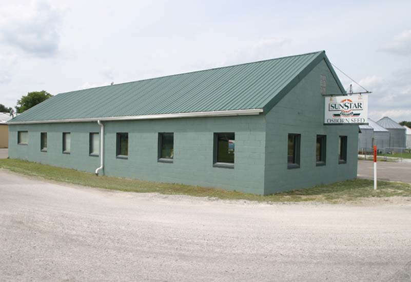 sunstar graphic image