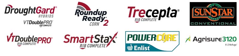 sunstar graphic image