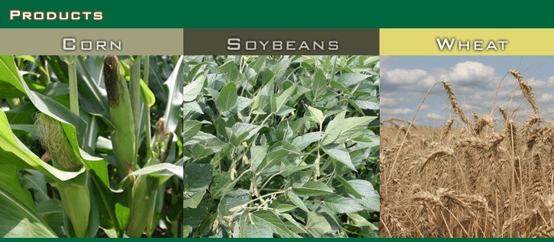 sunstar product graphic image