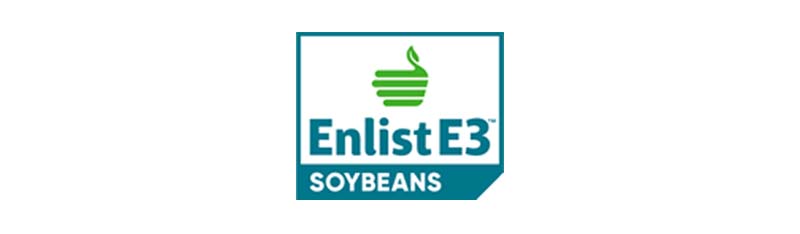 sunstar graphic image